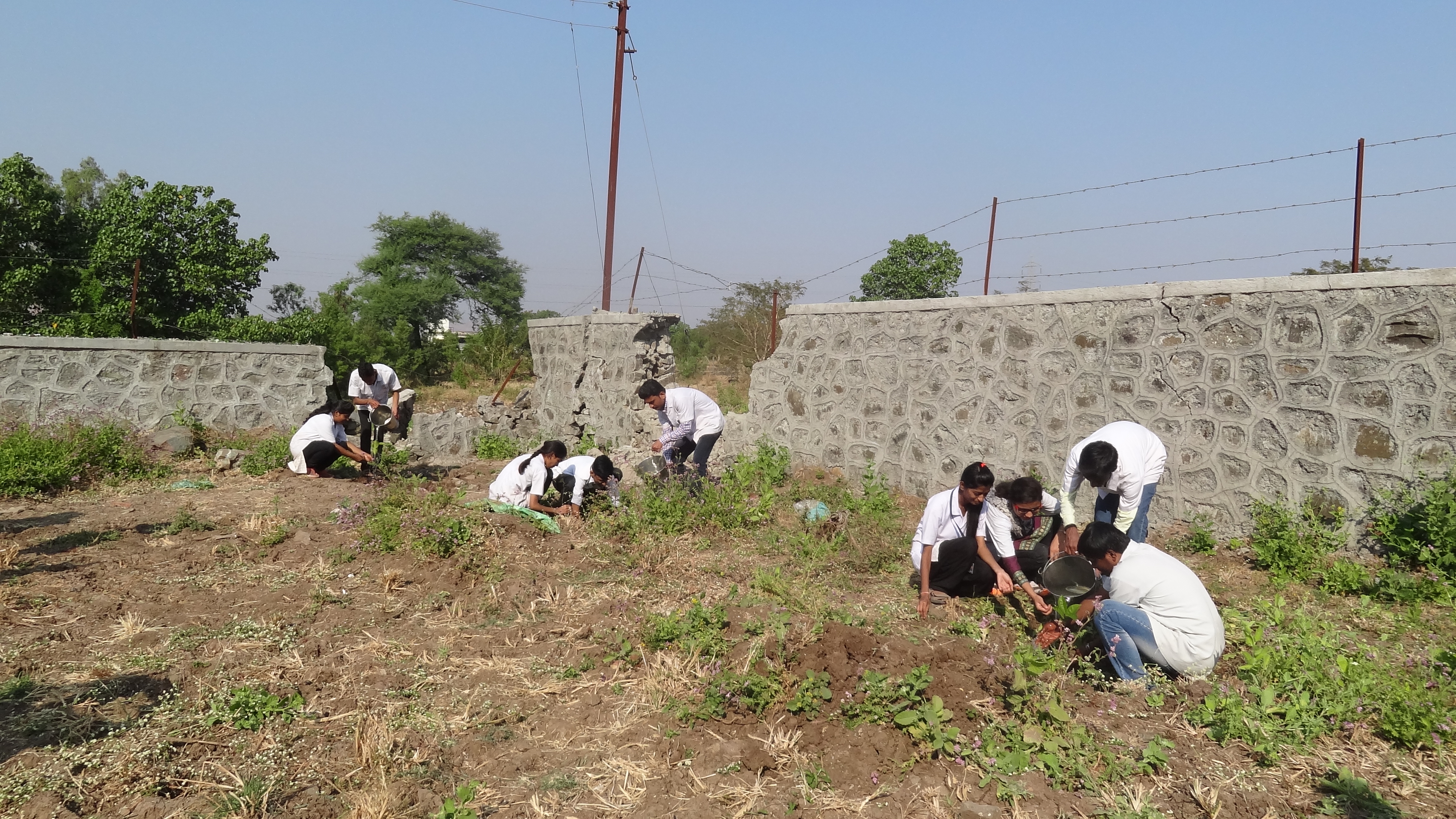 TreeplantationatNaygoanKanhegaon.jpg